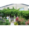 Прикрепленные изображения