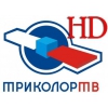 Установка спутниковых антенн,  замена,  разводка тв кабеля 8044-7717626