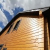 Пиломатериалы от ЗАО Вагонка-Бел в Минске ежедневно - Жодино.